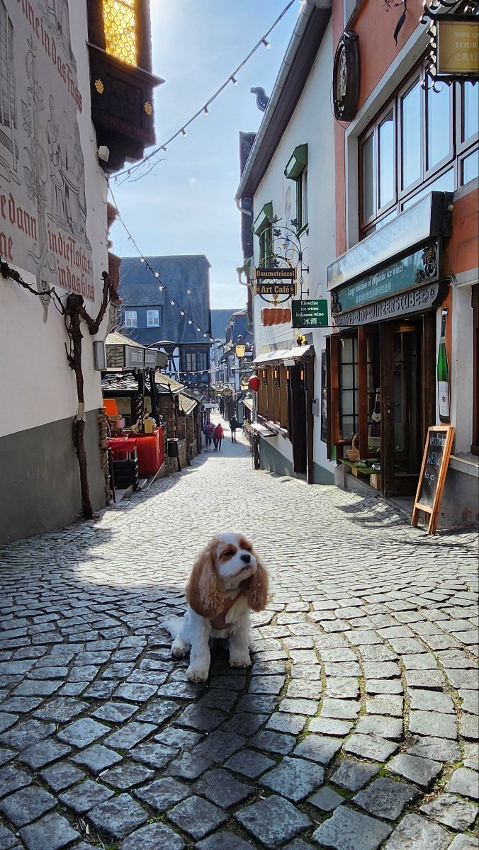Drosselgasse in Rüdesheim
